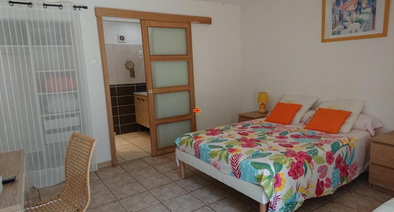 Chambres d'hôtes- Le Pré aux Ânes Albon Esterno foto