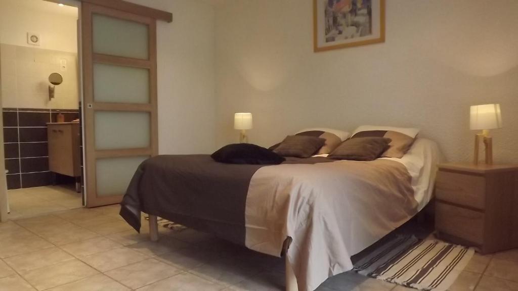 Chambres d'hôtes- Le Pré aux Ânes Albon Camera foto